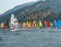 Over 200 starters are already registered