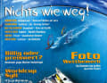 2003: Gott sei Dank