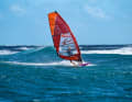 Flat water power with manoeuvring genes - these are freemove sails. We tested seven 2023 models!