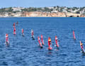 Instead of a lot of wind, there was only a light breeze, which required clever tactics