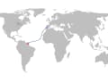 Die geplante Route führt von Lagos in Portugal mit nach Französisch-Guyana