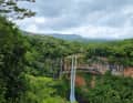 Welcome to the Jurassic Park of reality - the Chamarel waterfalls are absolutely cinematic.