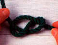 For the usual figure-eight knot, the working end is pulled all the way through the eye. Tie the knot tightly at both ends.