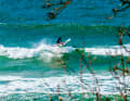 Sogar bei Westwind rollten ein paar surfbare Wellen an die Küsten.