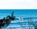 Untypical for the Baltic Sea, but here you need a surfer in your luggage.