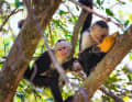 Curious locals....