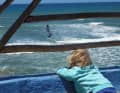 Watching dad at work - there are certainly less attractive jobs for children to watch than that of a windsurfing pro. Keano follows dad on a tame guincho day.