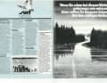 Die Highlights aus surf 4/1979