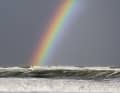 2018: Victor Fernandez wird von einem Regenbogen geküsst.
