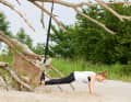 Step into both slings with your feet and assume the push-up position
