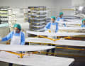 Cobra manufactures windsurfing, foil and surfboards