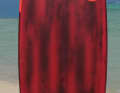...a comfortable freerace board in disguise has sneaked into the group.