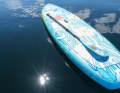 Sport Vibrations Balance 10'6'' x 33''