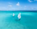 The Concept Blue Wings are to be produced more sustainably