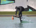 When the wind isn't blowing, he likes to go pump foiling to keep fit and supple.