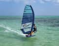With the powerful sails with seven battens and a focus on performance...