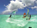 Joyful freeriding in the turquoise lagoon of Tobago. Freeride remains the most popular type of windsurfing.
