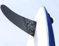 ...and a good tail fin for gliding