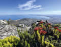 No one can escape the beauty and diversity of the Cape region.