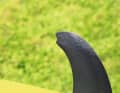 The notches on the fins of the Goya Custom Thruster are designed to provide more flex and thus grip in the turn