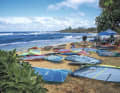 Hustle and bustle in Hookipa: Worldcuppers and top locals came together