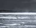 There are now over a dozen lakes that are up to five kilometres long.