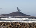 The best pictures from the final day at the World Cup Pozo