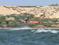 Dudu fliegt durch die Lüfte von Dakhla.