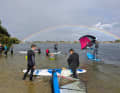 The Windsurfing Club Hamburg celebrates its 50th anniversary