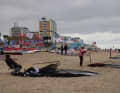 Shades of grey: Tuesday at the World Cup Sylt was quite cloudy