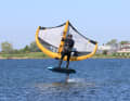 ...then rotates downwards towards the water. The former front hand only reaches for the back hand, the former back hand becomes the new front hand