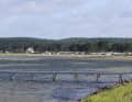 There is a narrow sandy beach in front of the campsite to get in