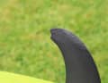 The tips of the fins are notched to improve flex and grip