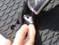 All loops are double-bolted