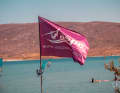 Flag of the ASPC