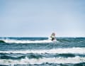 Clean sideoff conditions in Rowy