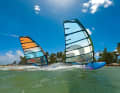 Left: Freerace 2-cam sail. Right: Freeerace No-Cam sail. What are the differences?