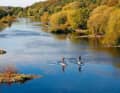 Die Ruhr fließt häufig vom Wind geschützt und gemächlich - und eignet sich so perfekt für Herbst-Touren.