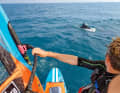 Pure nature - Jono has seen almost all of Europe's coasts. Each one has its own charms for him.