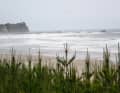 Where it is flat, large waves often roll onto the coast - a hairy affair with racing equipment