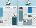 Die Highlights aus surf 8/1985
