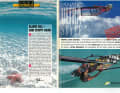 Das waren die Highlights in surf 3/1991