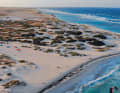 Aruba: In Boca Grandi weht der Wind auflandig – und ist somit unglaublich konstant.