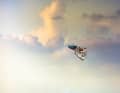 Flying High