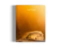 Surf Porn is published by gestalten, has 256 pages and costs 50 euros