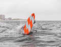 Die besten Bilder vom Windsurf World Cup Sylt 2024