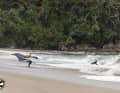 There was also some shorebreak to be mastered