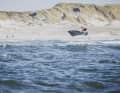 The conditions with rideable waves suited "surfers" like Bastien Escofet