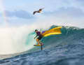 © Ben Thouard :