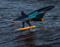 Wave riding in the regular position (left foot in front)